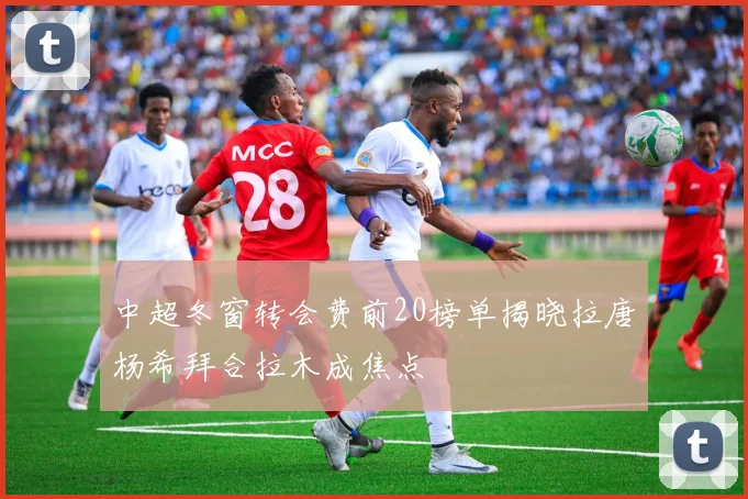 中超冬窗转会费前20榜单揭晓拉唐杨希拜合拉木成焦点
