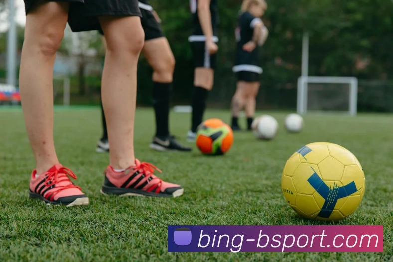 App Interface Preview