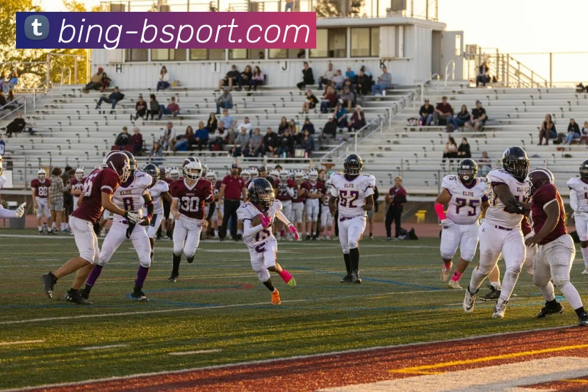 B体育APP 封面图